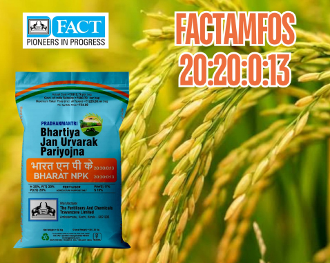 FACTAMFOS 20:20:0:13 fertilizer bag